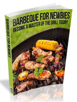 Barbeque for Newbies